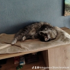 watermark-8132fae961990e2990550bdab7ae45de_0
