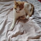 watermark-9e18b1f9c5942c1de70c135ac5883488_0