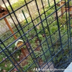 watermark-e589efeea91f5c2df751eaa71aa3da4f_0