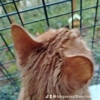 watermark-caa748eebe0e20caa2a51d56303ab6a9_0