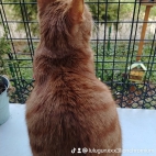 watermark-8a71647a31ab83f247b067973ad5cec8_0