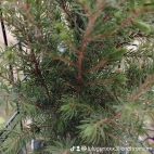 watermark-39c03e7d82dfe2256cb70acdefcc5a5f_0