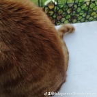 watermark-fe55784f6bcb0bab892bf97d6ee680d6_0