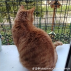 watermark-1933156da3db31dd389657bbcb535317_0