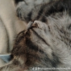 watermark-3ae253017f09fe435db8dc37ac0ac0d0_0