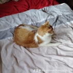watermark-1465feb53d4ffe9597d177bd2a8a3978_0