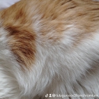 watermark-cfdd73dfde40e103dc99abd366b0f38d_0