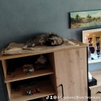 watermark-d123e5c8cdb404682e6b99ec575db728_0