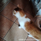 watermark-3586ee6ec83305ffd3028c2593acd3fa_0