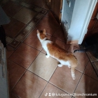 watermark-6c43c9676fde66c3c6395b16a8b06d47_0