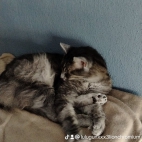 watermark-2bb0c792ea8b9e38b3bd200a8586c9a6_0