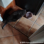 watermark-06f56929d064d7e37e043ac6958e63d7_0