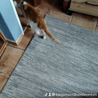 watermark-3c3b690524472aa2f0503aaf3a27f536_0