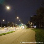 watermark-a86b570810e49fbed1297acfaeddb11c_0