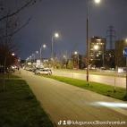 watermark-a854adf76c44b2e1cd2e9bed8301b7a0_0