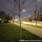 watermark-60bfa4b6338db4052abe3f3b066a8396_0