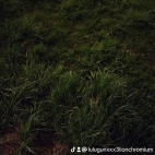 watermark-2ac36539ccda850faf3292fe1d5de837_0