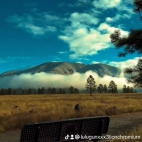 watermark-46ef128d45debdf60d96e008bd0a0704_0