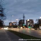 watermark-bce9b9e845365a4b16879df0ea1b4886_0