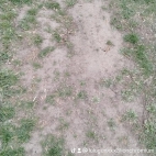 watermark-567b7bb072d020f335c4fe0fea700b90_0