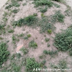 watermark-e0dbde5527188cd388453bfffcb9307f_0