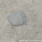 watermark-4a0fe4401dec354aaa9d34c9f3398d7c_0