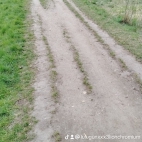 watermark-cf147582b3c8348888b28926512279a0_0