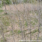 watermark-e56105b4a9d6339cf5c5fd899af1887b_0