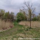 watermark-b6eaf4c310201abe0d6fc5f399dc248c_0