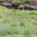 watermark-084cf01c494f4a9627f133f1dfd134b0_0
