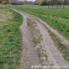 watermark-e5be59423b3adf01028079c703949930_0