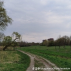 watermark-74cc6f8fee39151e085033f763ee1101_0