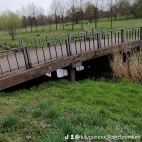 watermark-3e5a38eb7c4b0e6d17f49749a52550c1_0