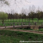 watermark-aae8bd04126339fe818367d296b57fee_0