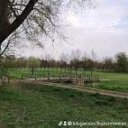 watermark-1b565d107479748cf55def9ade57b2be_0