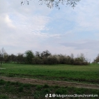 watermark-b8e77be5e90aceba3038746606679679_0