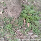 watermark-adc9d5a1ee59869fdd28bee21d4c6ab2_0