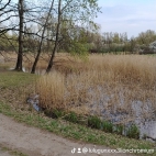 watermark-386dc3a064b431bbec85176cbd7bf91f_0