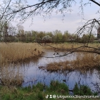 watermark-03fa57c7363ad69d0ee3492e1cf55c3c_0