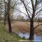 watermark-528f90267e334acf0a28c1abab0cf116_0