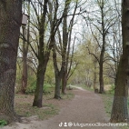 watermark-8e84679e635ab911c7db386de4315130_0