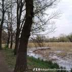 watermark-24ff752e9c1eedd72fc3a3a8ce3bb280_0