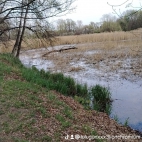 watermark-46140b3e0ae049efb7decb7d15f91026_0