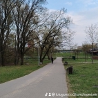 watermark-eb21e7108e3d62fa88e3f71126a248c7_0