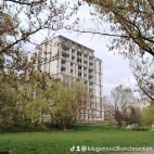 watermark-1e3bf22a820a391a1d10443c3565265e_0