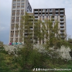 watermark-5af9030b52f044d67cf83e48d6bc9fba_0