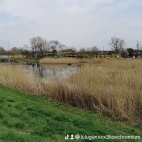 watermark-1f8437b172ee67c0ee169122c22b2d32_0