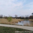 watermark-84e1d92b91b4f26e2edf61b5c4a1cc13_0