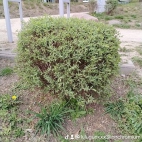 watermark-38c60ce0757b2306dee16f9054cd668e_0