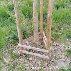 watermark-7a2bdd586200464678cc2a5eb1c42370_0